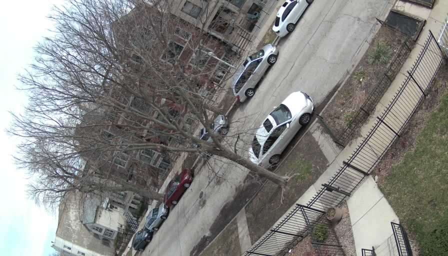 Reolink Camera Two_01_Reolink Home Hub One_20260403124135.jpg